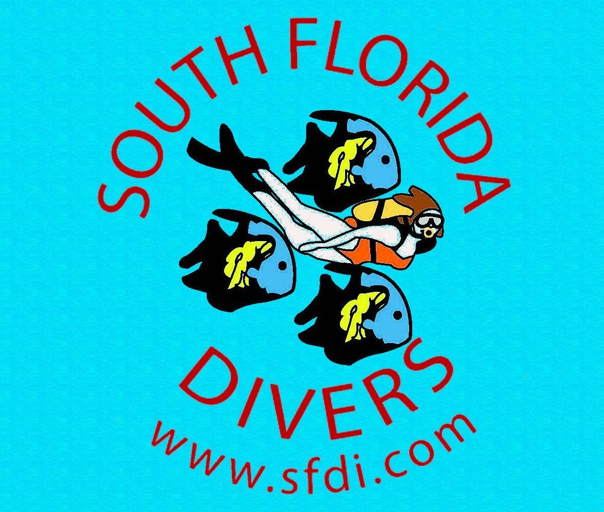 SFDI Logo